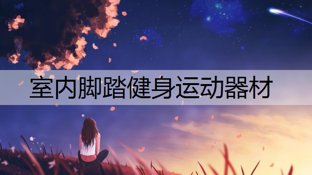 室内脚踏健身运动器材