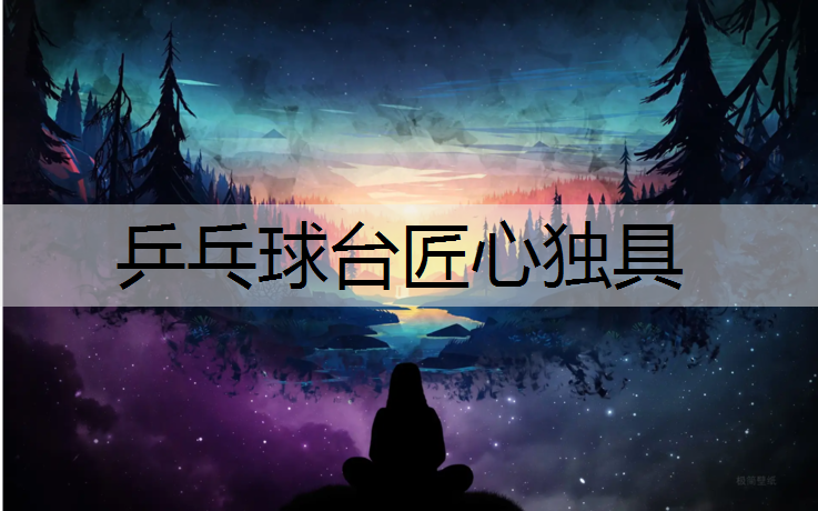 乒乓球台匠心独具