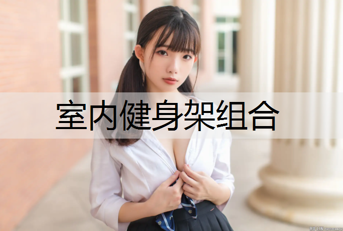 室内健身架组合