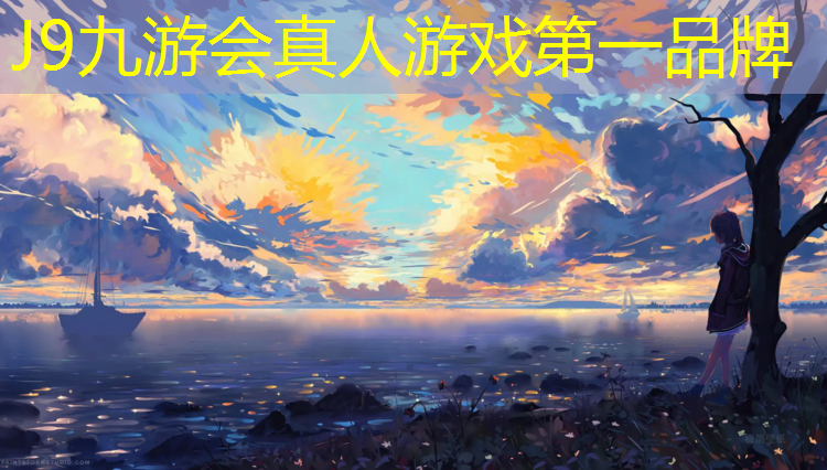 J9九游会官网：新网球网子凤凰