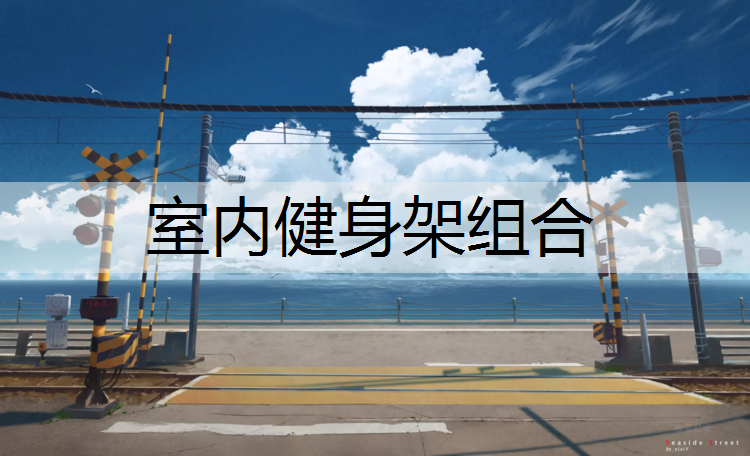 室内健身架组合 室内健身架组合